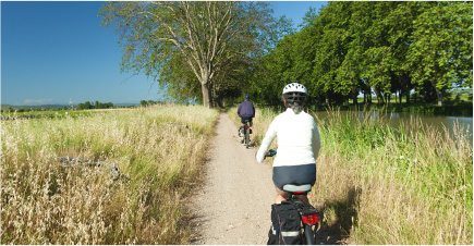 Deux personnes de dos, se baladent en vélo dans la campagne. Le ciel est dégagé, le sentier est entouré d’herbes hautes. Au bout du chemin on peut apercevoir au loin de grands arbres verdoyants.